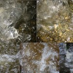 Photography organicarts