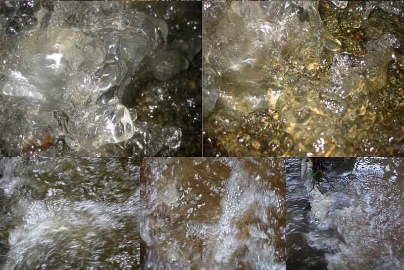 Photography organicarts