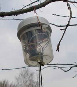 ecoid