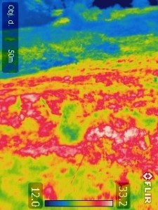 infrared_easterbrooks