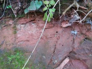 Geology at West Town Farm