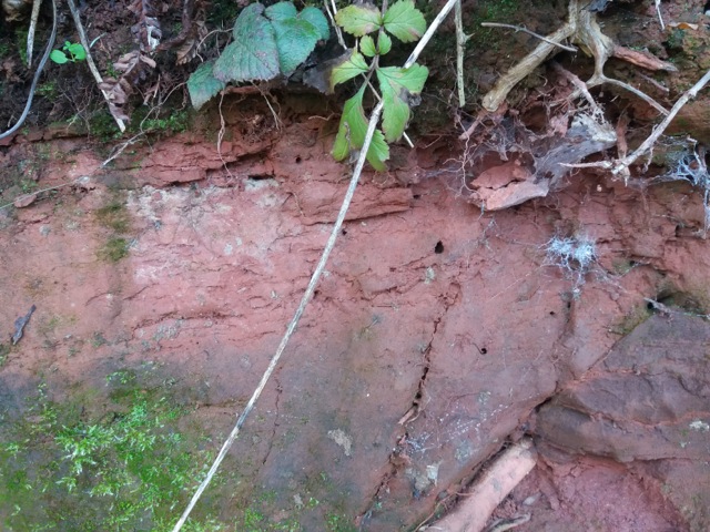 Geology at West Town Farm
