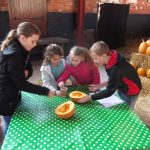 October Visit - pumpkin seeds