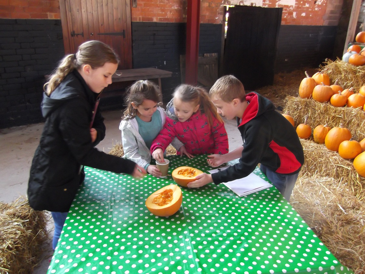 October Visit - pumpkin seeds