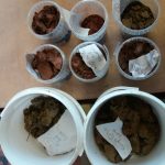 soil samples